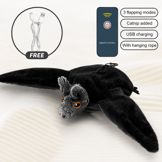 Interactive toy for Cats