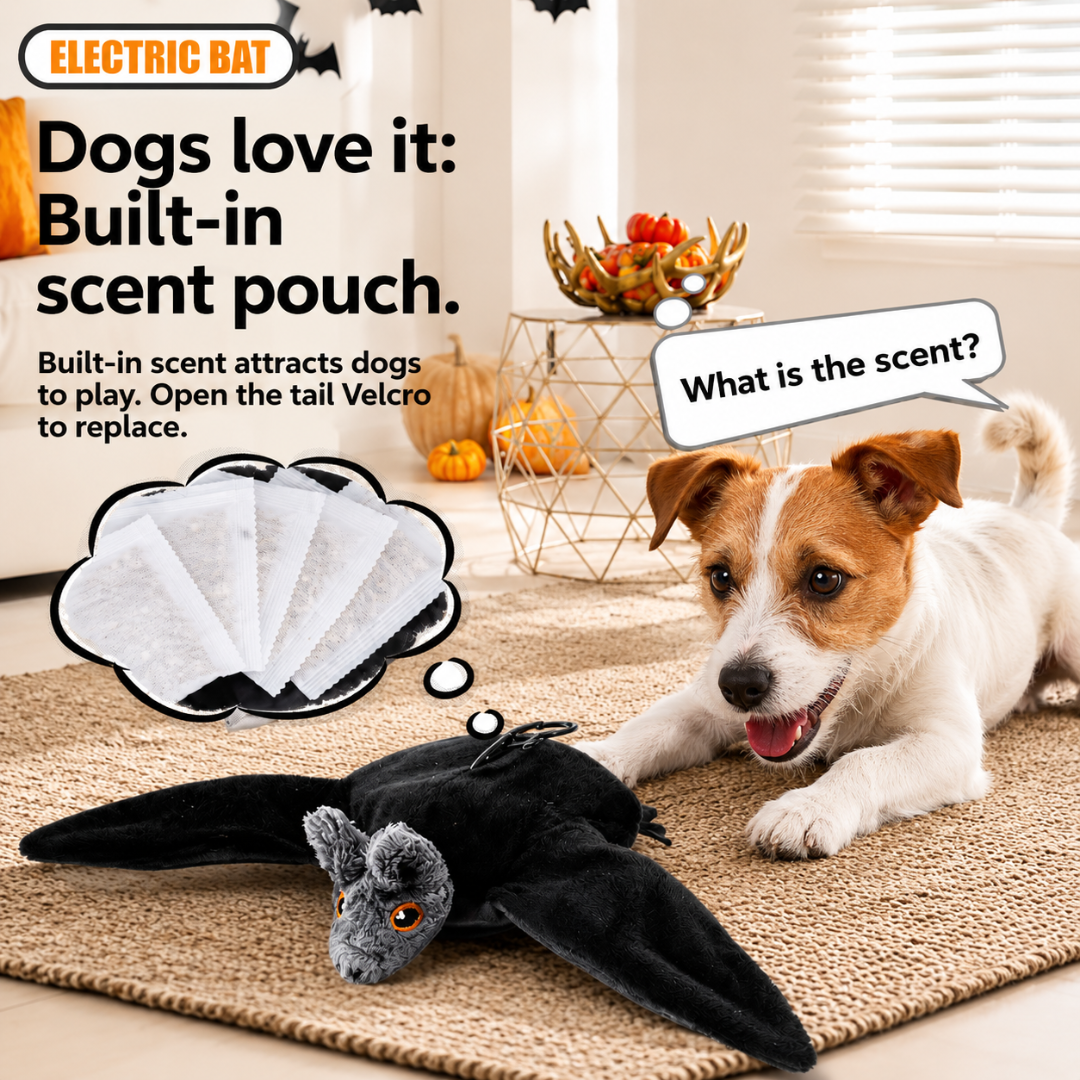 WildWhisker™ Flying Bat Toy